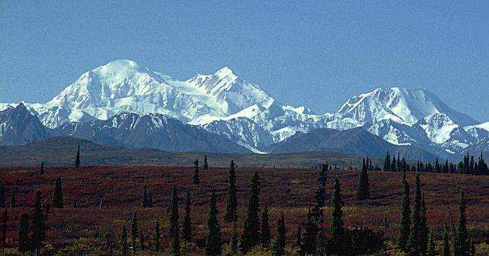 Alaska Bild: Denali National Park - Mt.McKinley