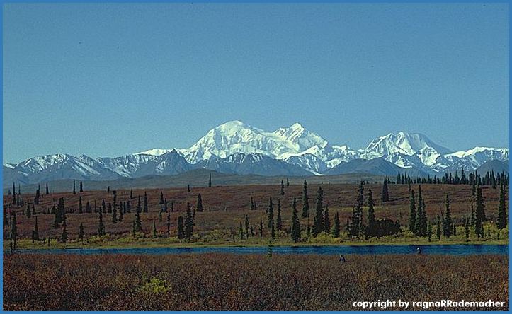 Alaska Bild: Mt.McKinley im Denali National Park