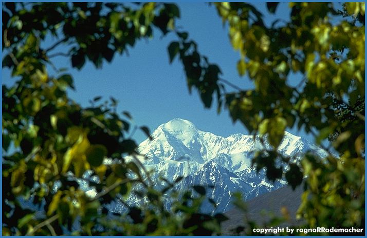 Alaska Bild: Mt.McKinley im Denali National Park