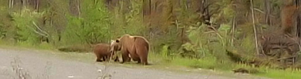 Alaska 2005
