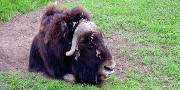 Alaska2005