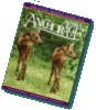 Anchorage Visitor Guide